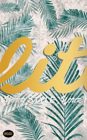 WhatsApp Image 2025-11-30 at 10.00.12 PM 1068